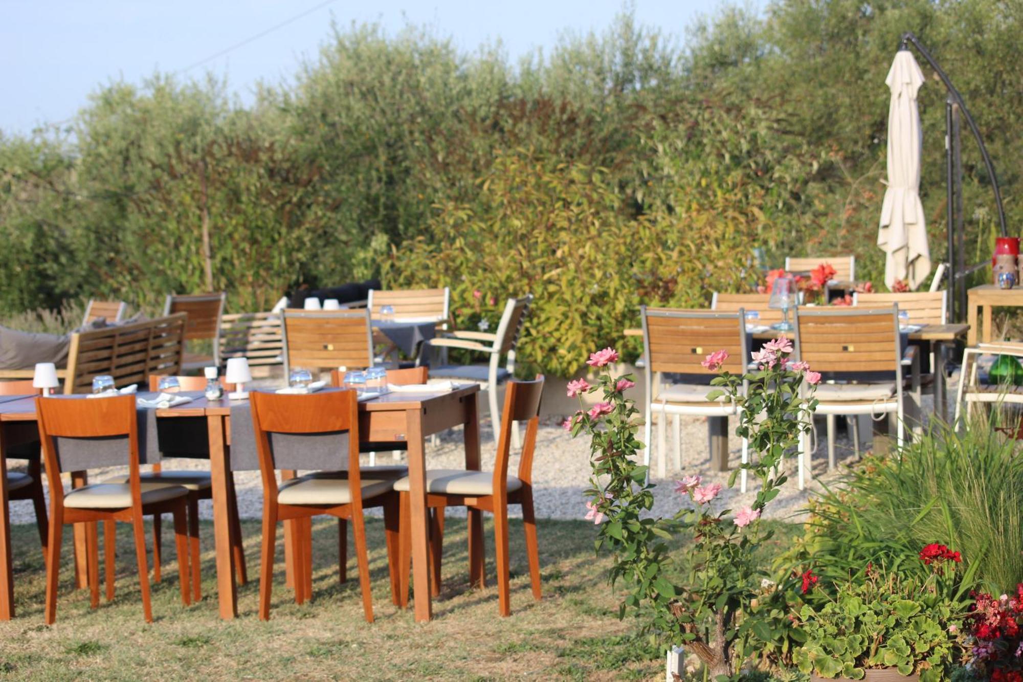Gastronomic B&B Carlocarla Monte San Pietrangeli Luaran gambar